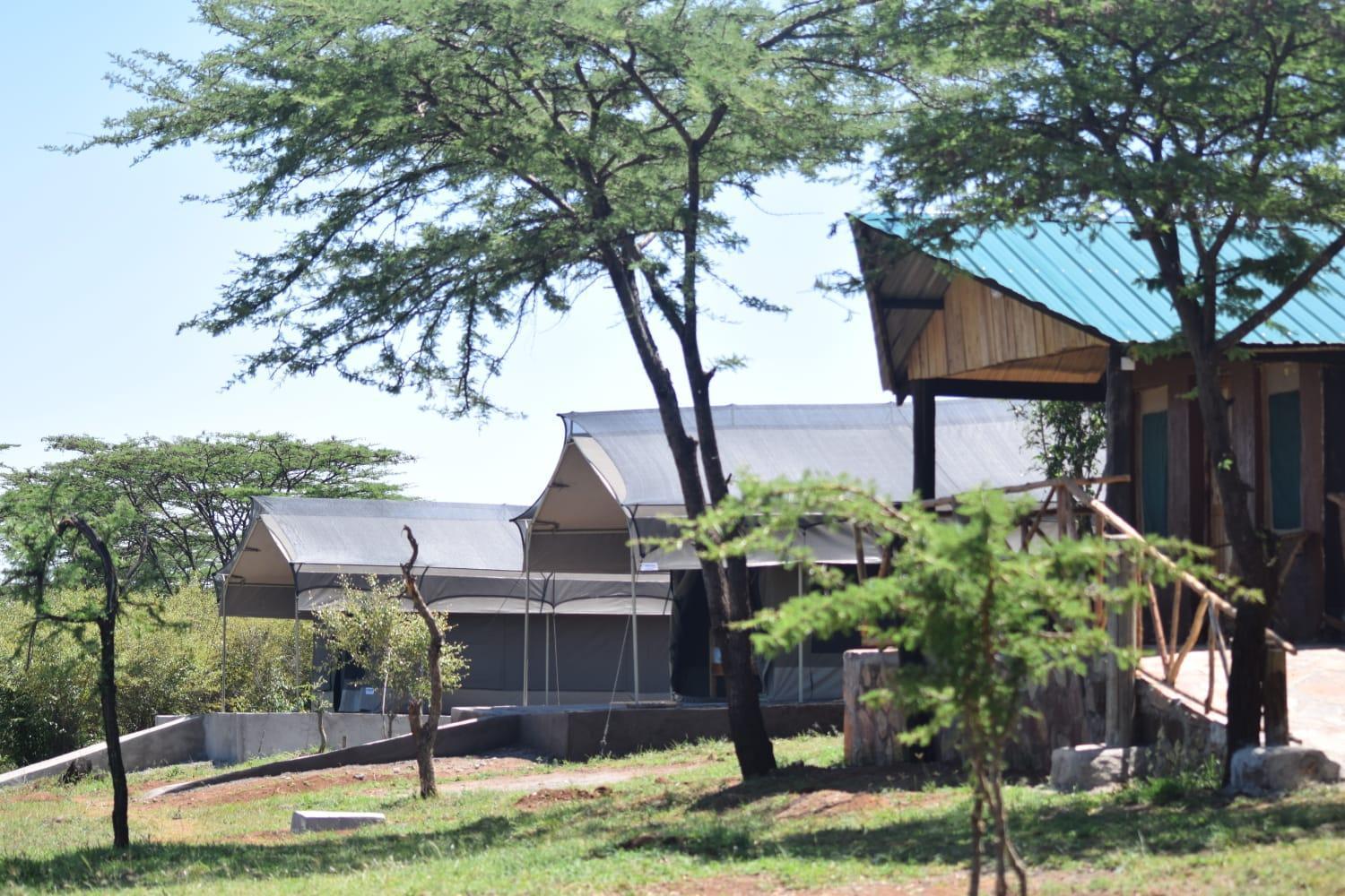 Bed and Breakfast Maasai Mara Safari Camp In Kenya Sekenani Exterior foto