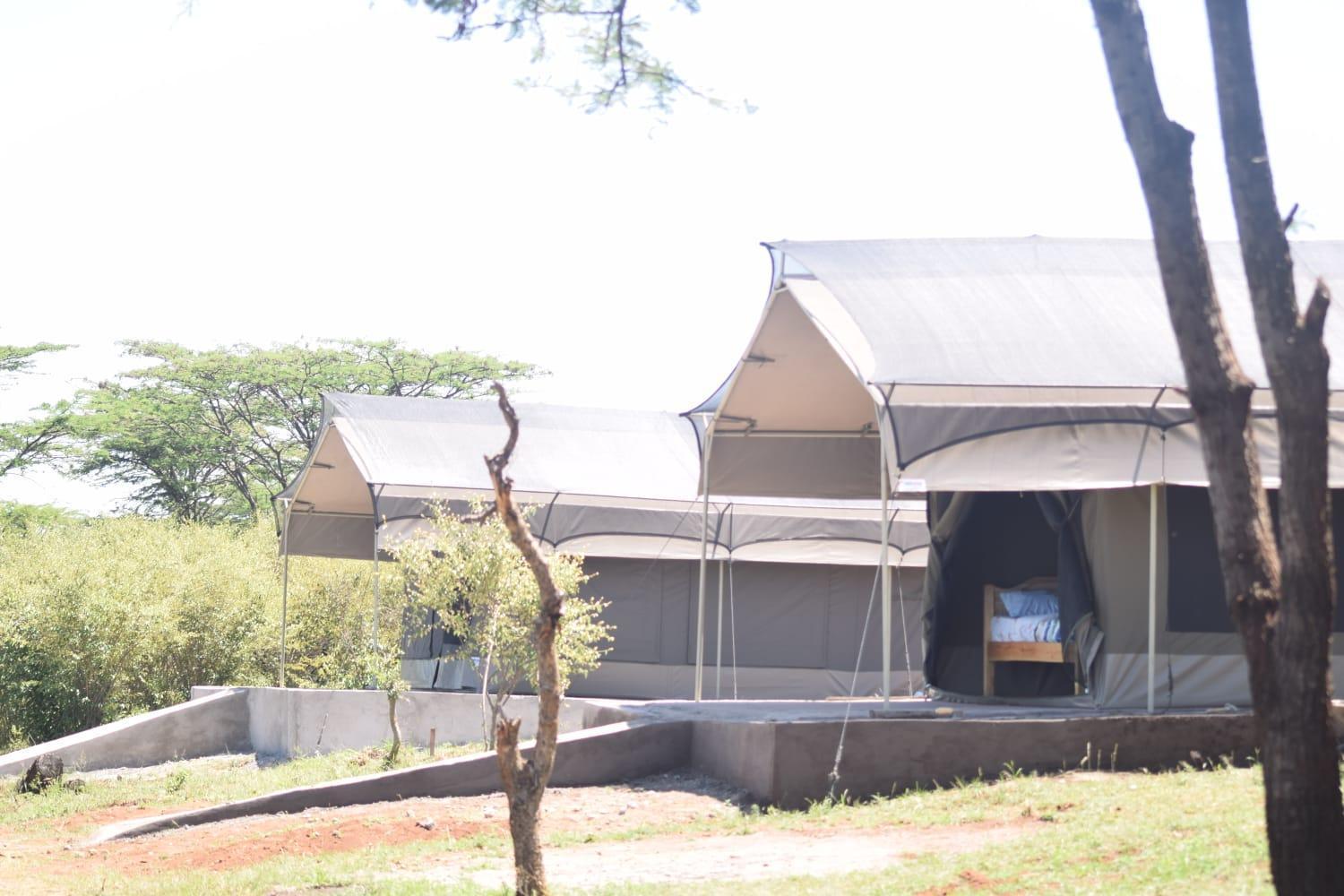 Bed and Breakfast Maasai Mara Safari Camp In Kenya Sekenani Exterior foto