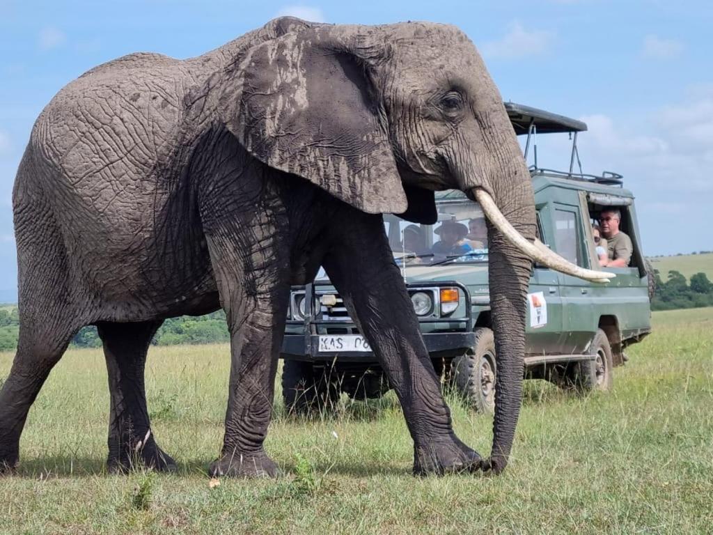 Bed and Breakfast Maasai Mara Safari Camp In Kenya Sekenani Exterior foto